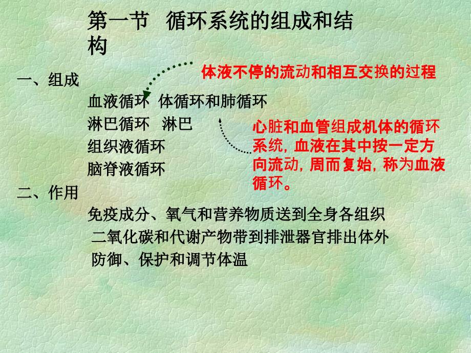 最新循环系统的结构和功能PPT课件_第2页