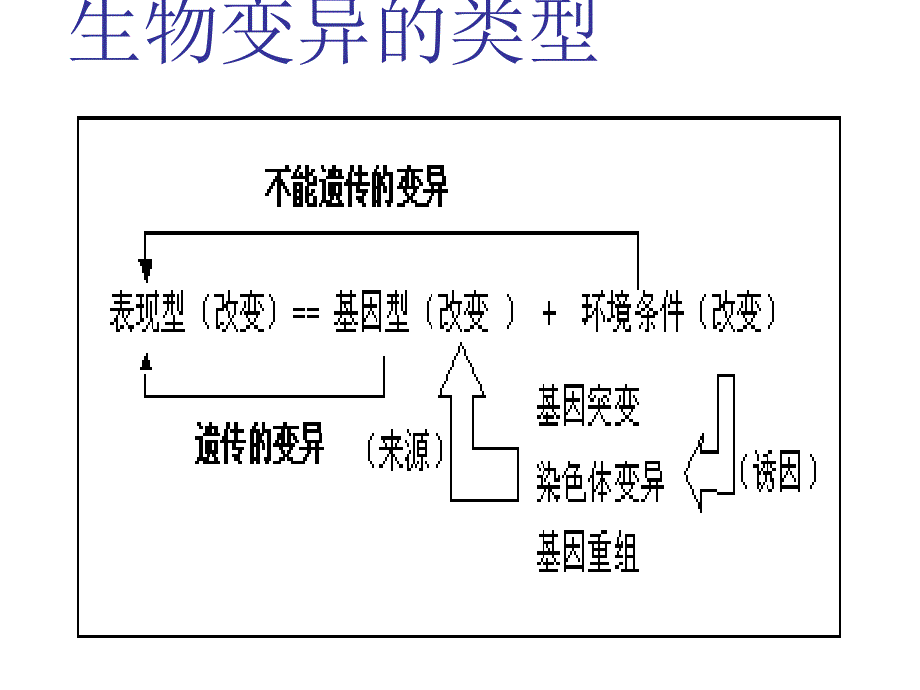 基因突变与基因重组0218_第3页