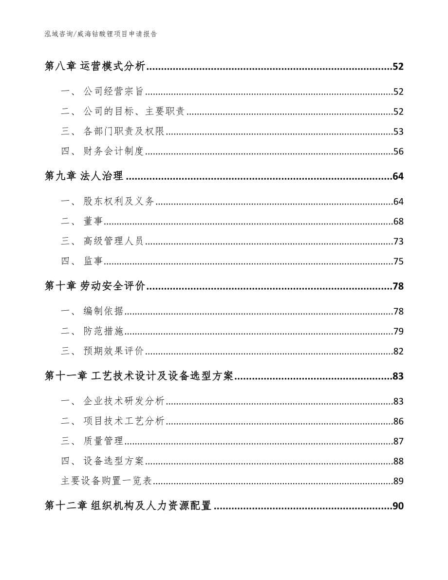 威海钴酸锂项目申请报告模板参考_第5页