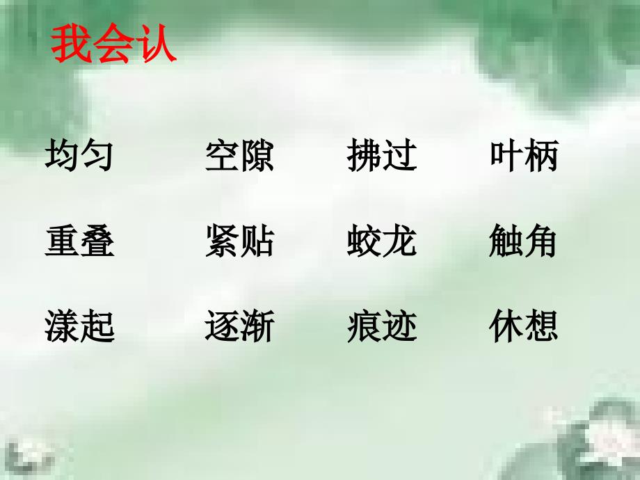 6《爬山虎的脚》_第4页