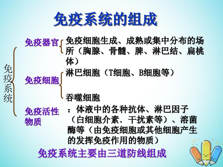 云南孰山彝族自治县高中生物第二章动物和人体生命活动的调节2.4免疫调节课件新人教版必修3_第4页