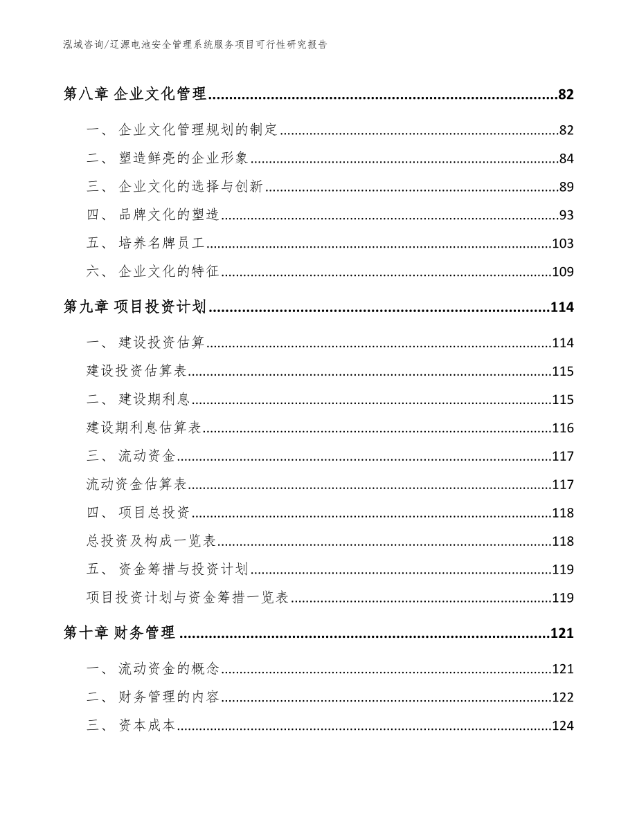 辽源电池安全管理系统服务项目可行性研究报告_第3页