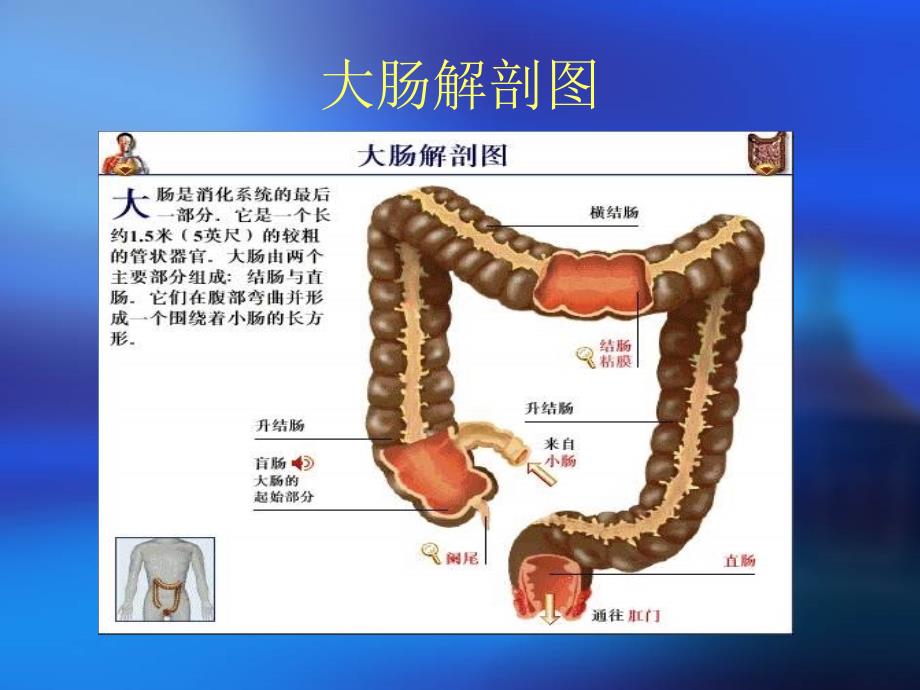 .12经腹直肠癌根治术的护理查房_第4页