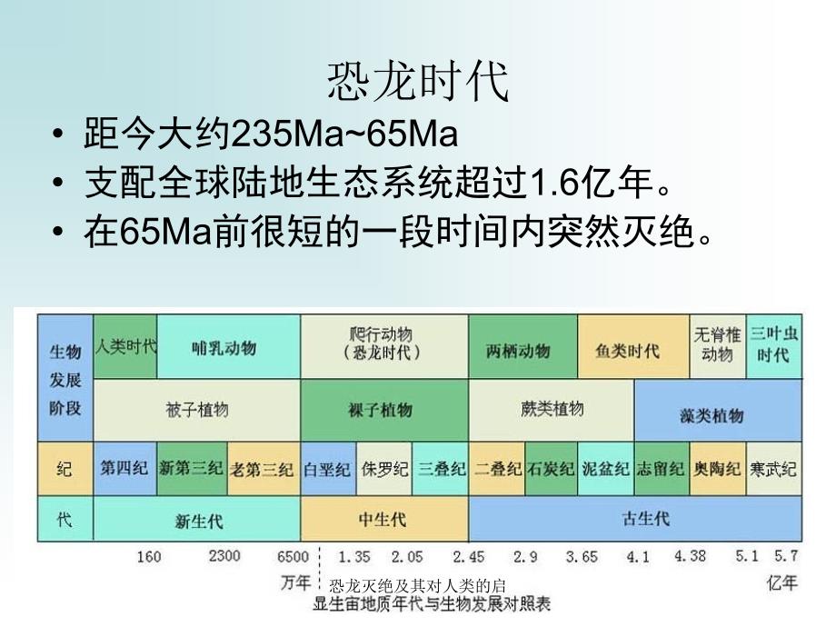 恐龙灭绝及其对人类的启课件_第4页