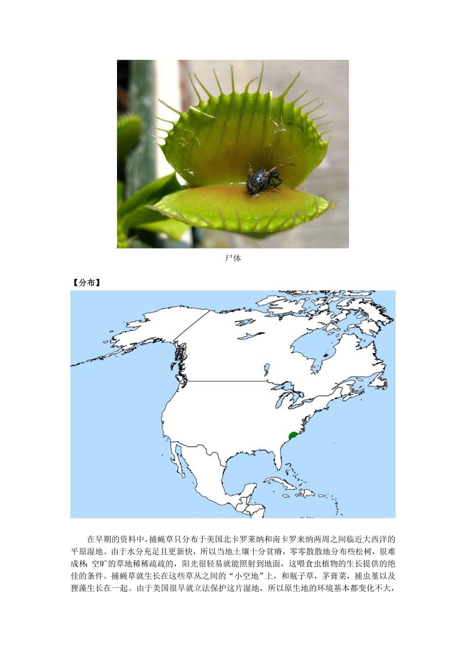 认识食虫植物-捕蝇草_第4页