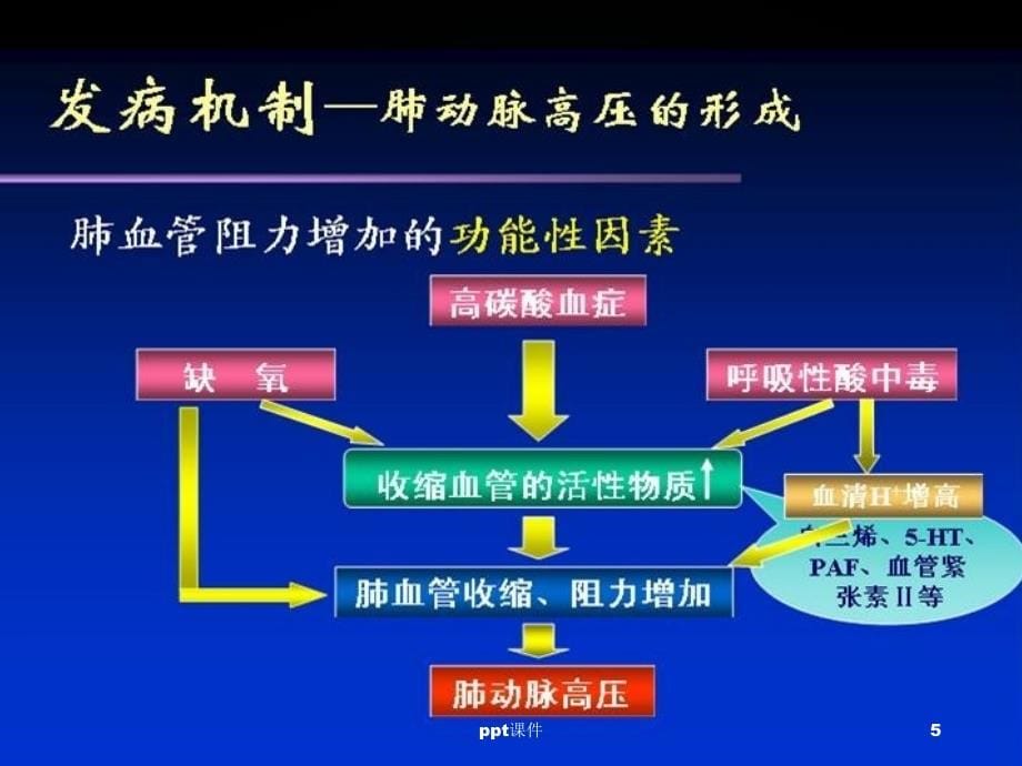 慢性肺源性心脏病护理查房ppt课件_第5页