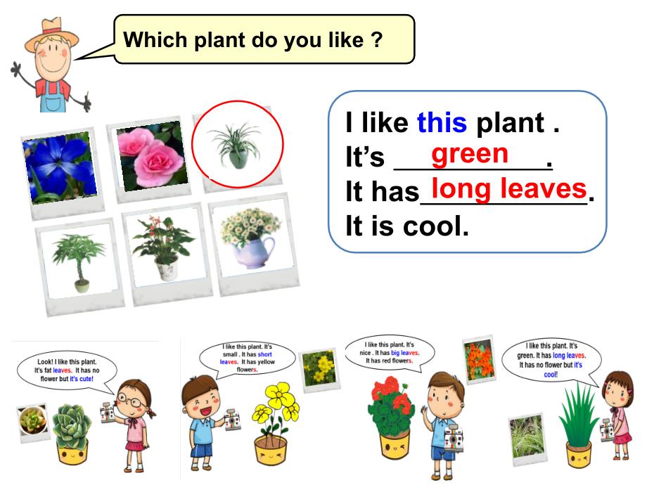 上海教育版英语四年级下册Module 4 Unit 10my garden第3课时ppt课件[www.7cxk.net]_第2页