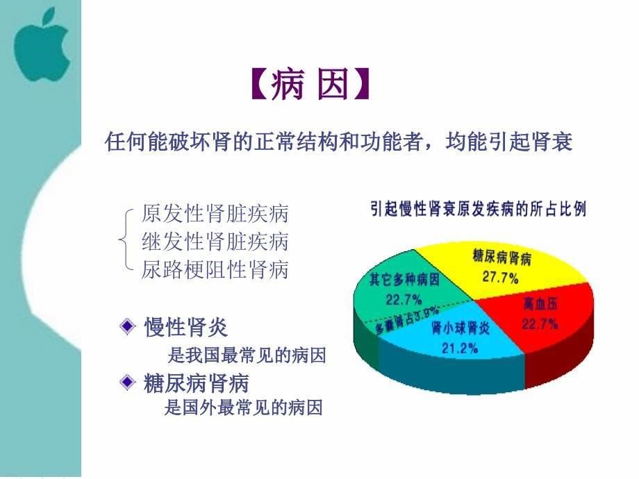 内科护理学慢性肾衰竭_第5页