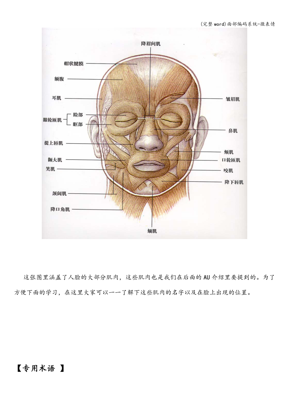 (完整word)面部编码系统-微表情.doc_第3页