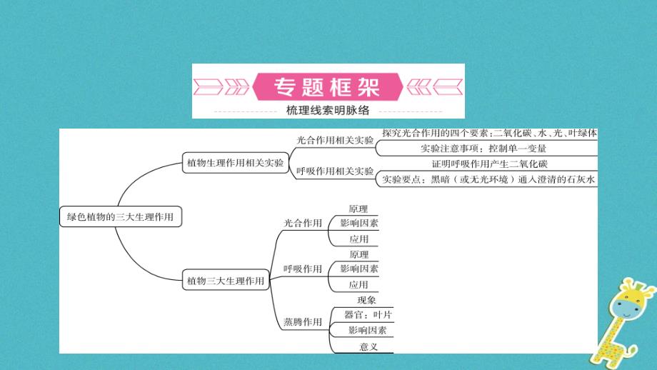 生物总四 绿色植物的三大生理作用_第4页