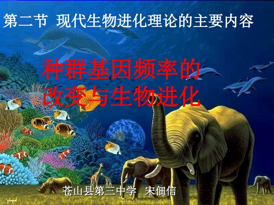 高二生物种群基因频率_第1页