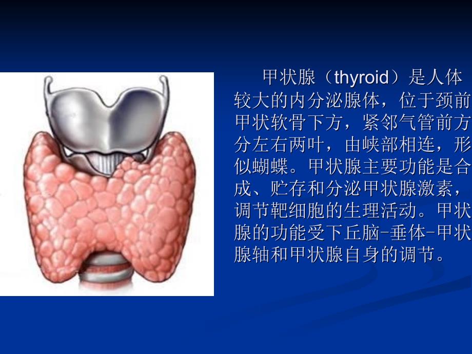 核医学-甲状腺功能显像概要_第2页