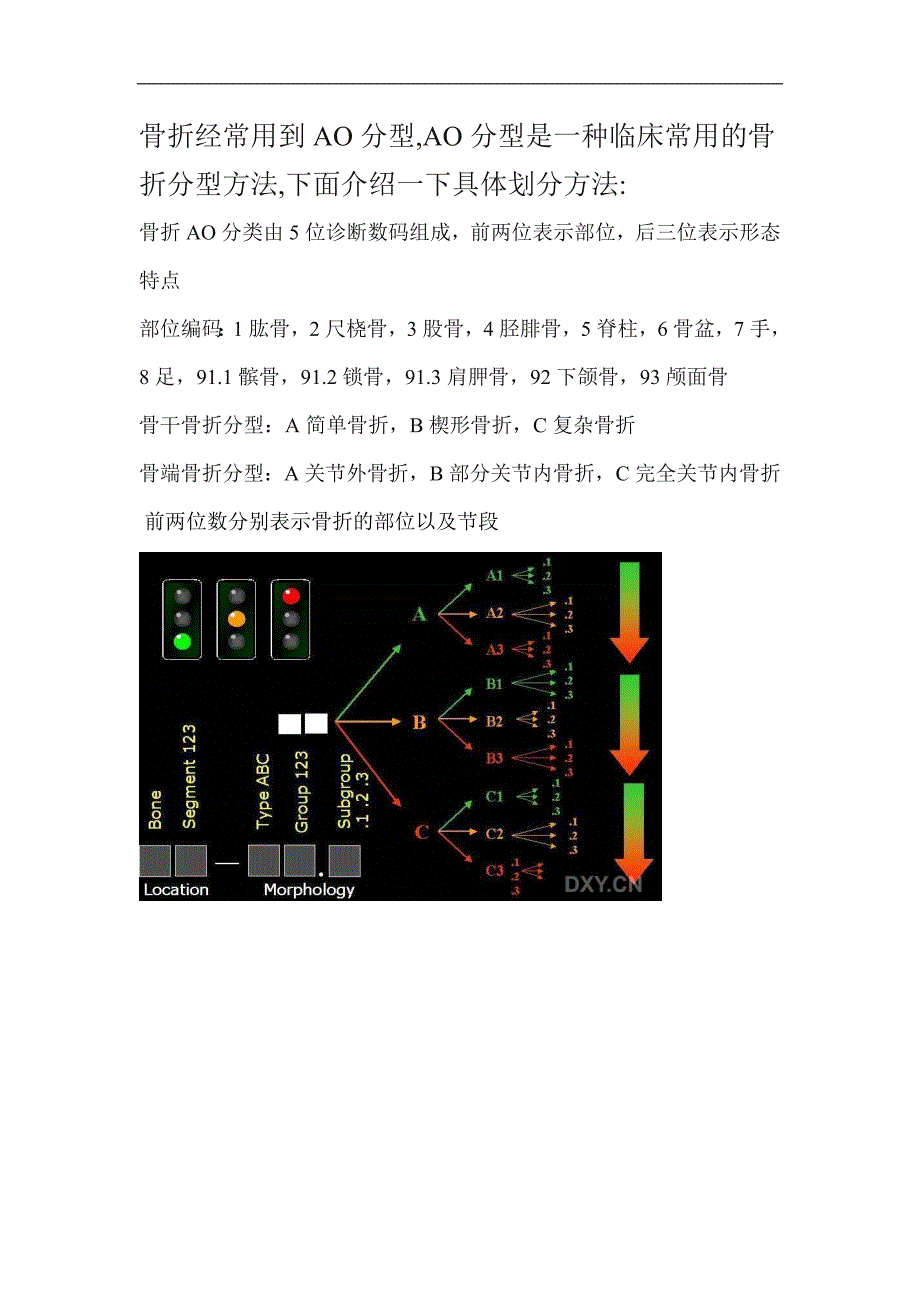 骨折经常用到AO分1.doc_第1页