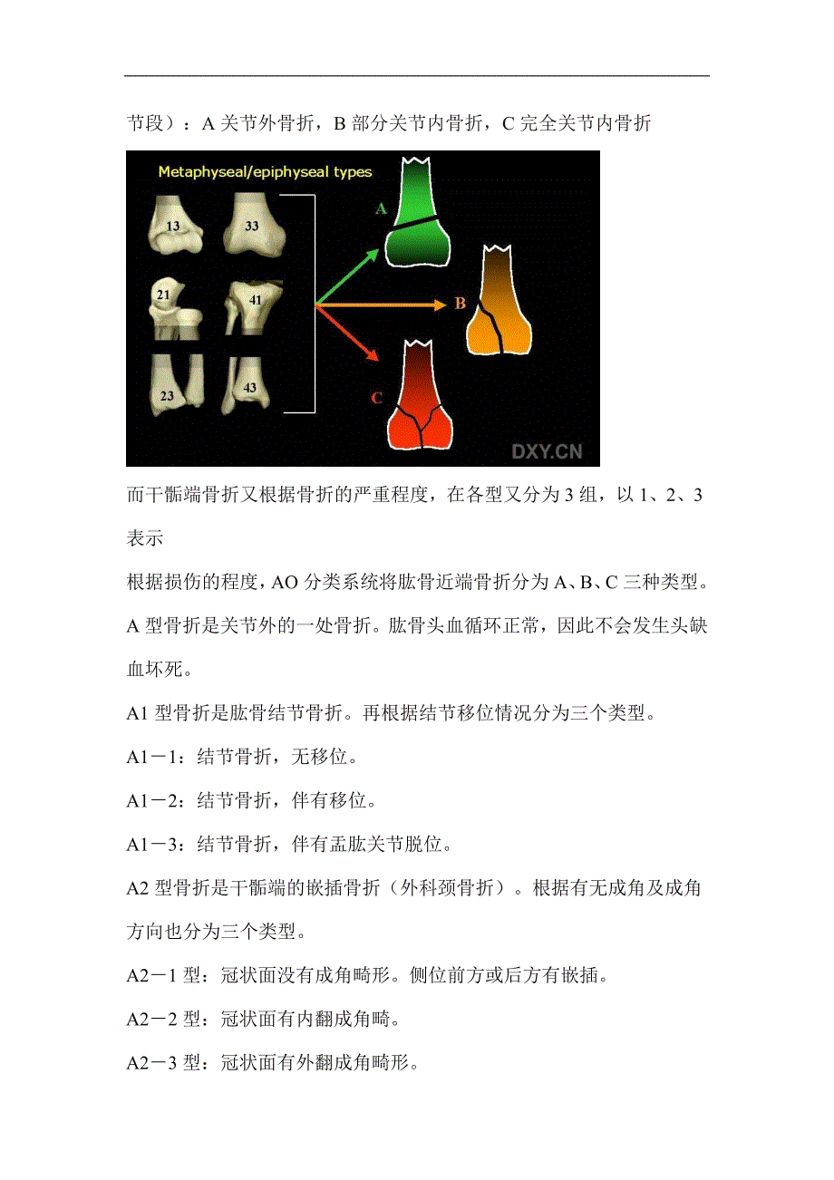 骨折经常用到AO分1.doc_第4页