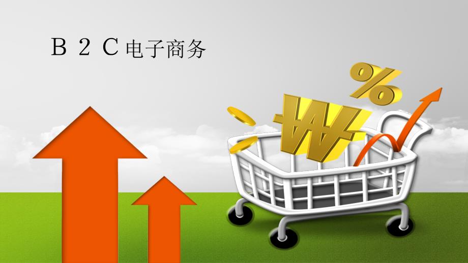 服装行业的B2C模式_第1页