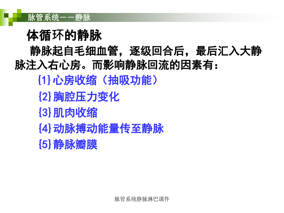 脉管系统静脉淋巴课件_第3页