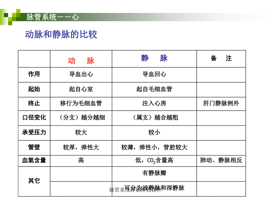 脉管系统静脉淋巴课件_第4页