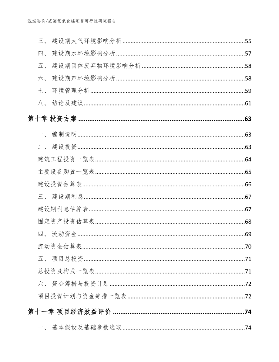 威海氢氧化镍项目可行性研究报告范文参考_第4页