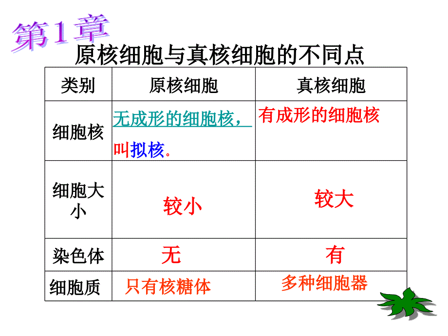 必修一13章复习_第2页