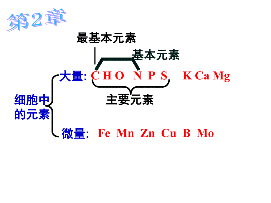 必修一13章复习_第4页