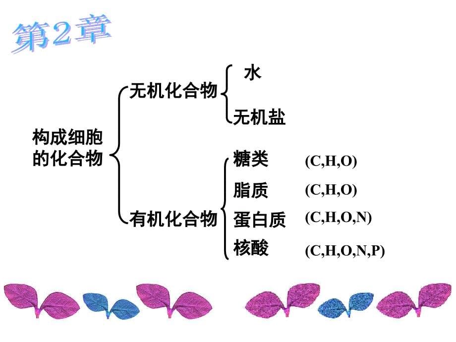 必修一13章复习_第5页