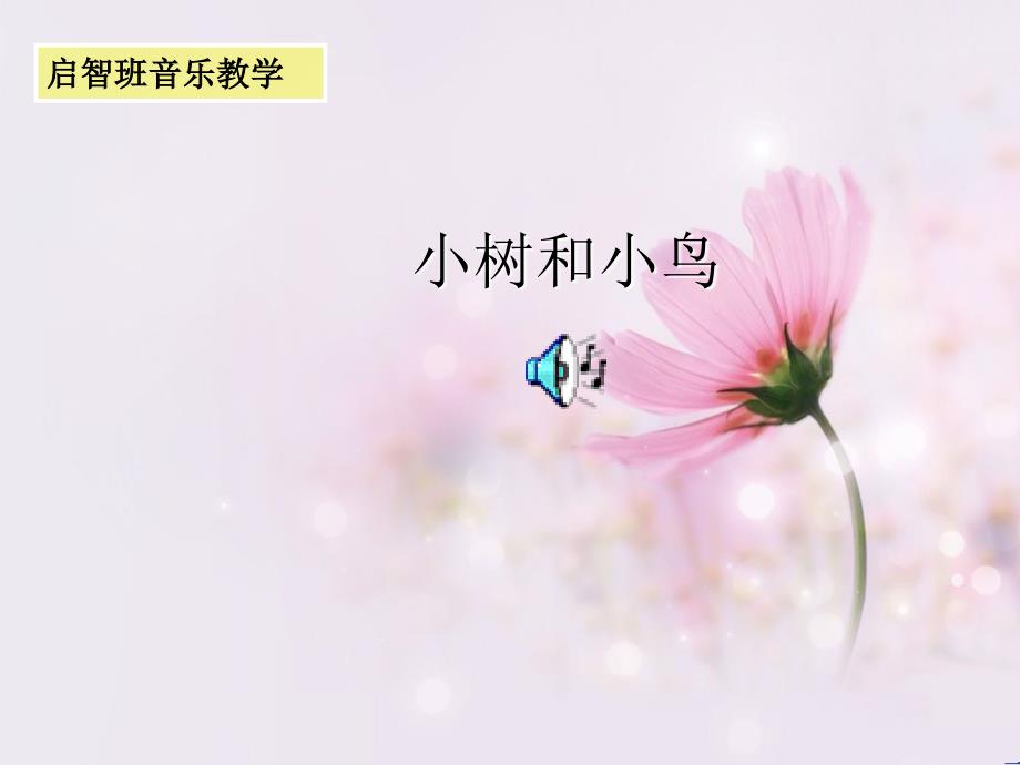 启智班音乐教学《小树和小鸟》ppt课件_第1页