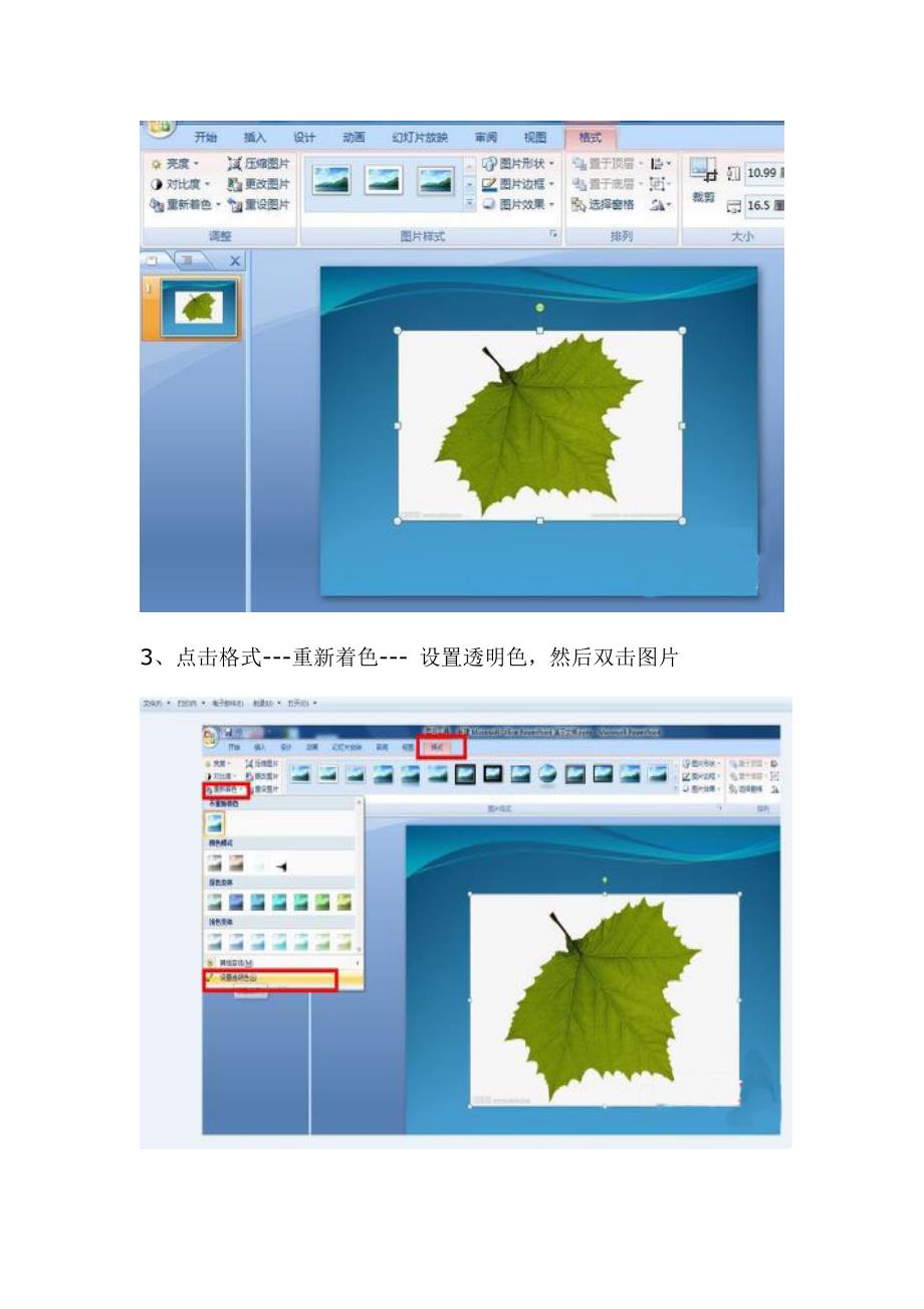 PPT中插入图片的背景色去除方法以去除绿色叶子背景为例_第2页