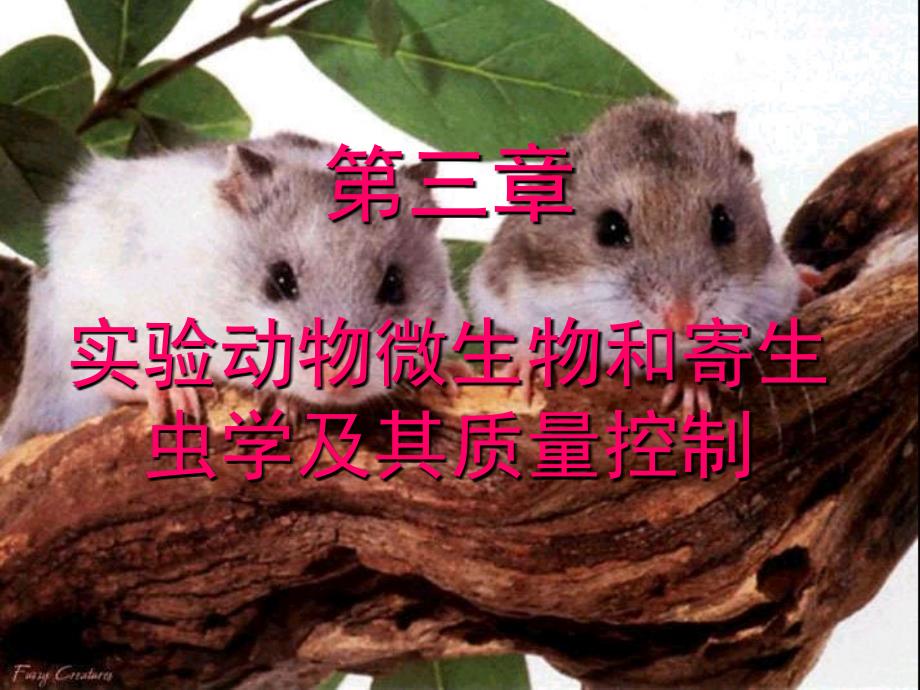 医学实验动物学：第3章 实验动物微生物和寄生虫学及其质量控制_第1页