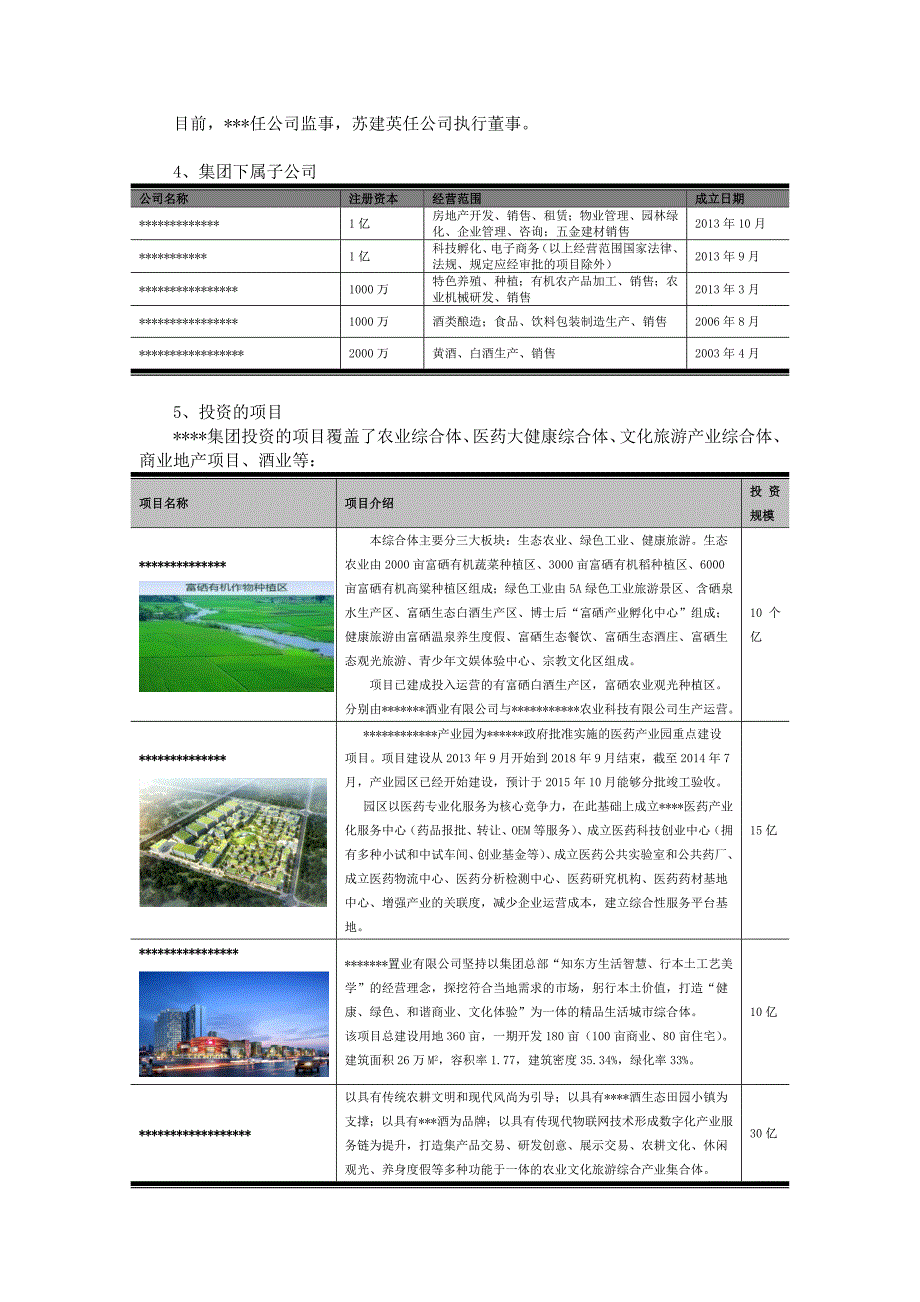 企业贷款申请书_第2页