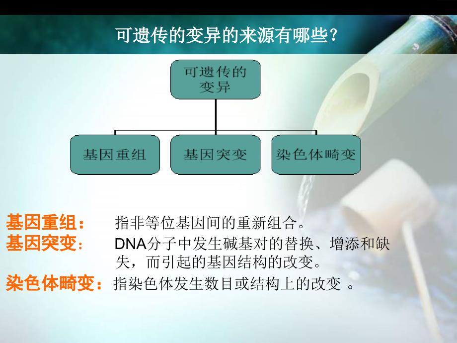 人类常见遗传病ppt课件_第3页