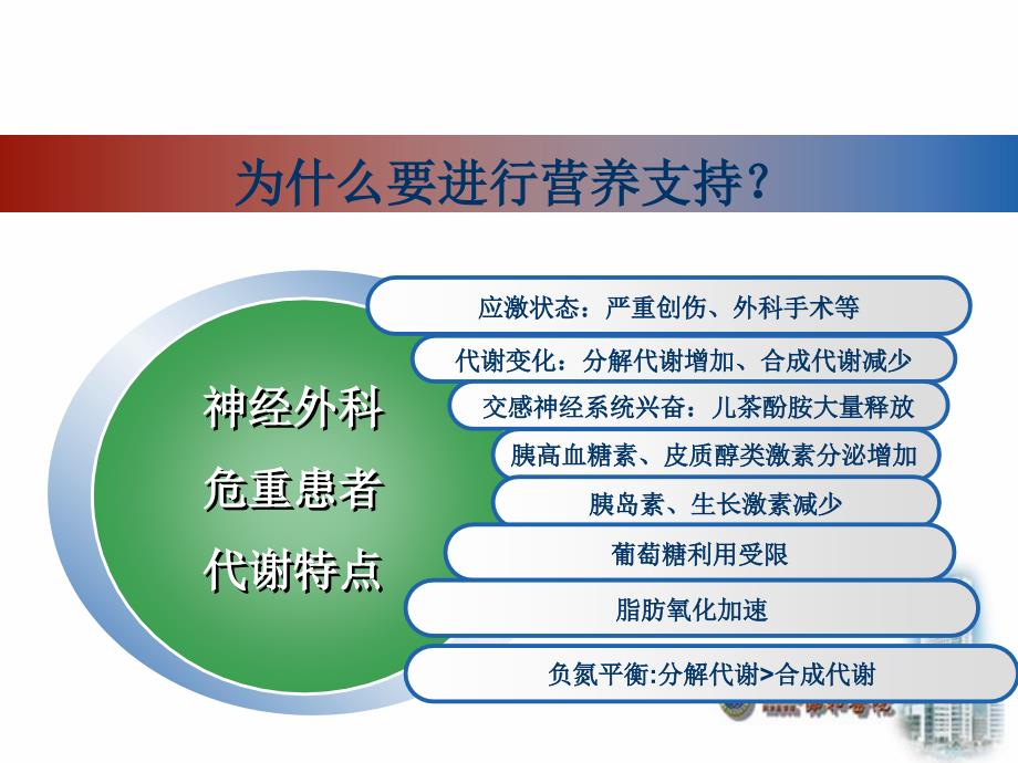 神经外科危重患者肠内营养护理.ppt_第3页