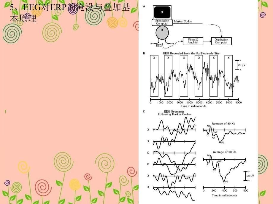 ERP基础道理及其在认知神经科学中的应用宝典_第5页