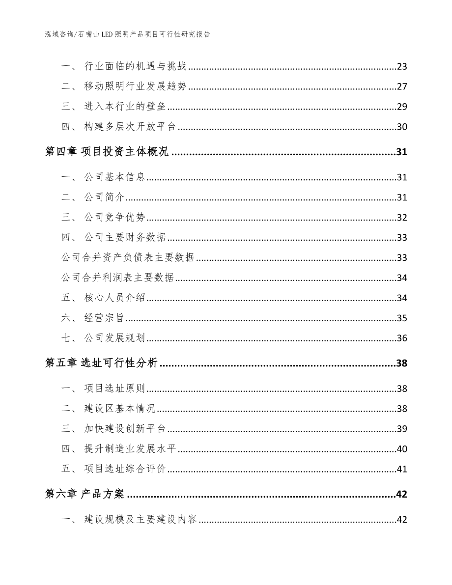 石嘴山LED照明产品项目可行性研究报告（模板范文）_第4页