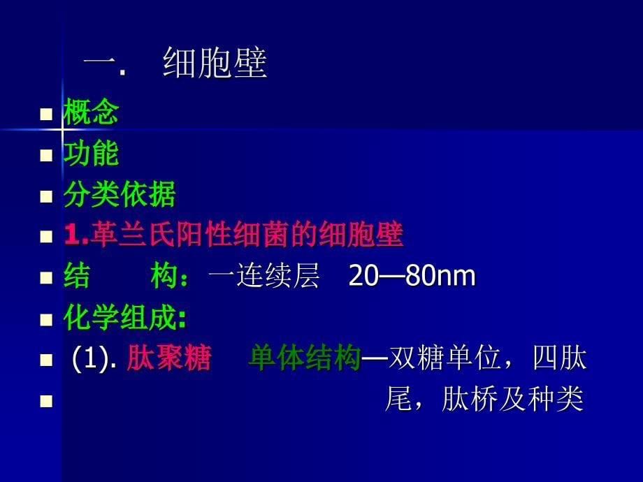 沈萍微生物学第三章.ppt_第5页