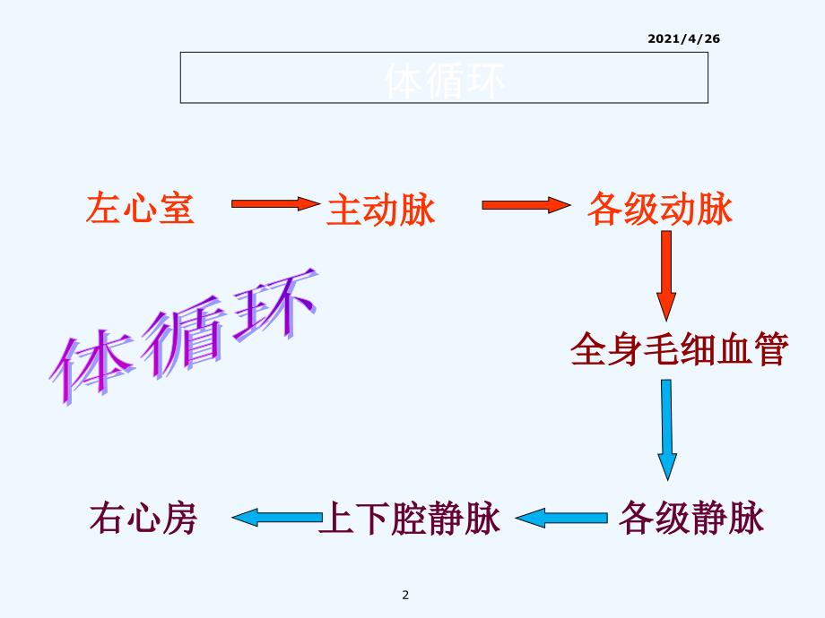 血液循环的路线精品课件_第2页