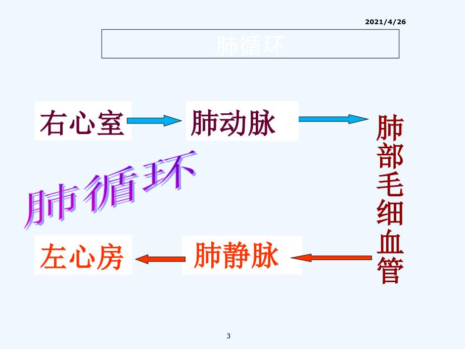 血液循环的路线精品课件_第3页