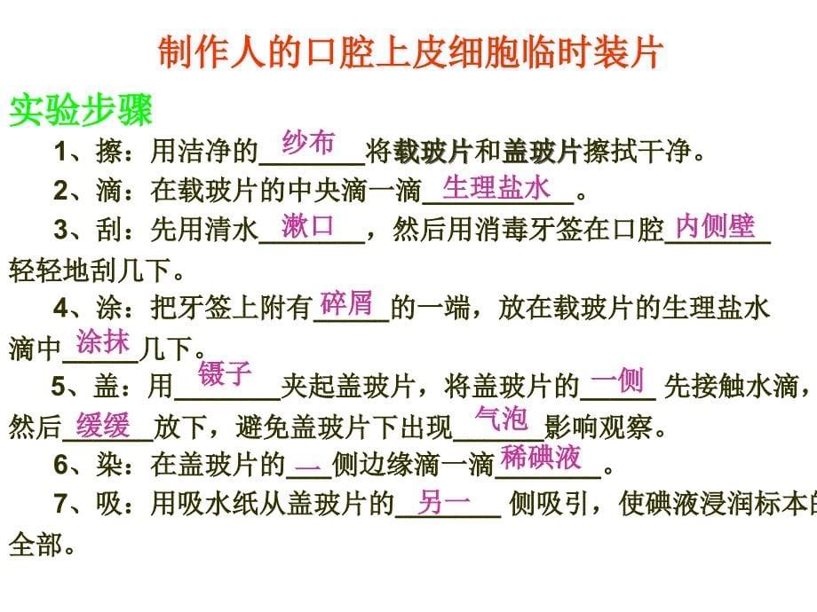 观察人的口腔上皮细胞-水隘乡学校蒋序春_第5页