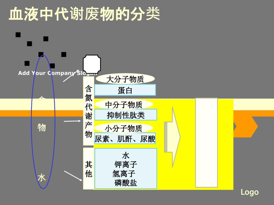 血液透析原理ppt.ppt_第4页