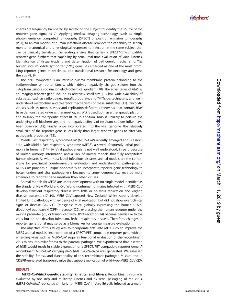 【病毒外文文献】2018 The Human Sodium Iodide Symporter as a Reporter Gene for Studying Middle East Respiratory Syndrome Coronavirus Path_第2页