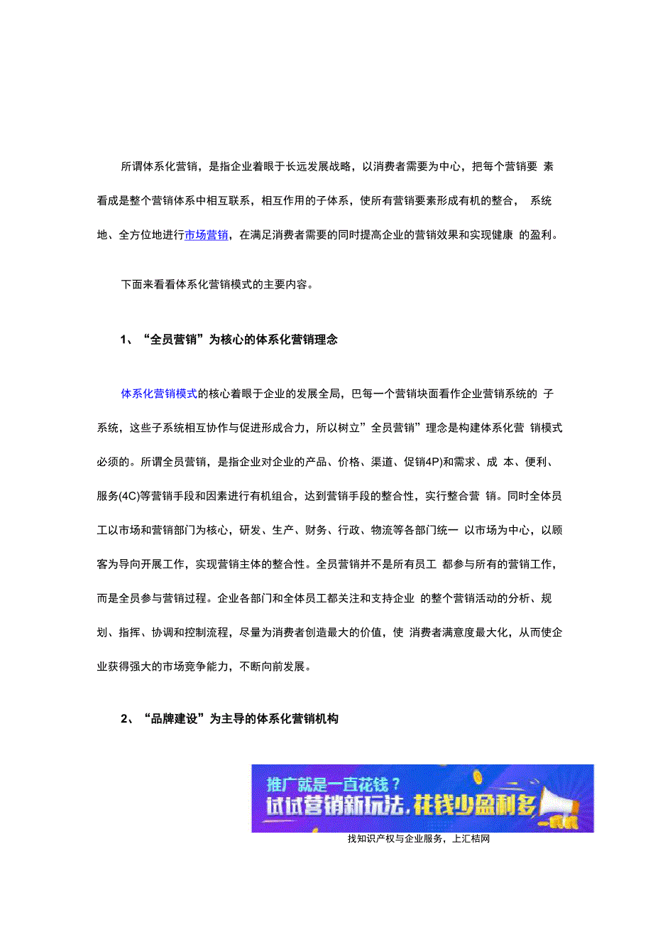 体系化营销模式的主要内容_第1页