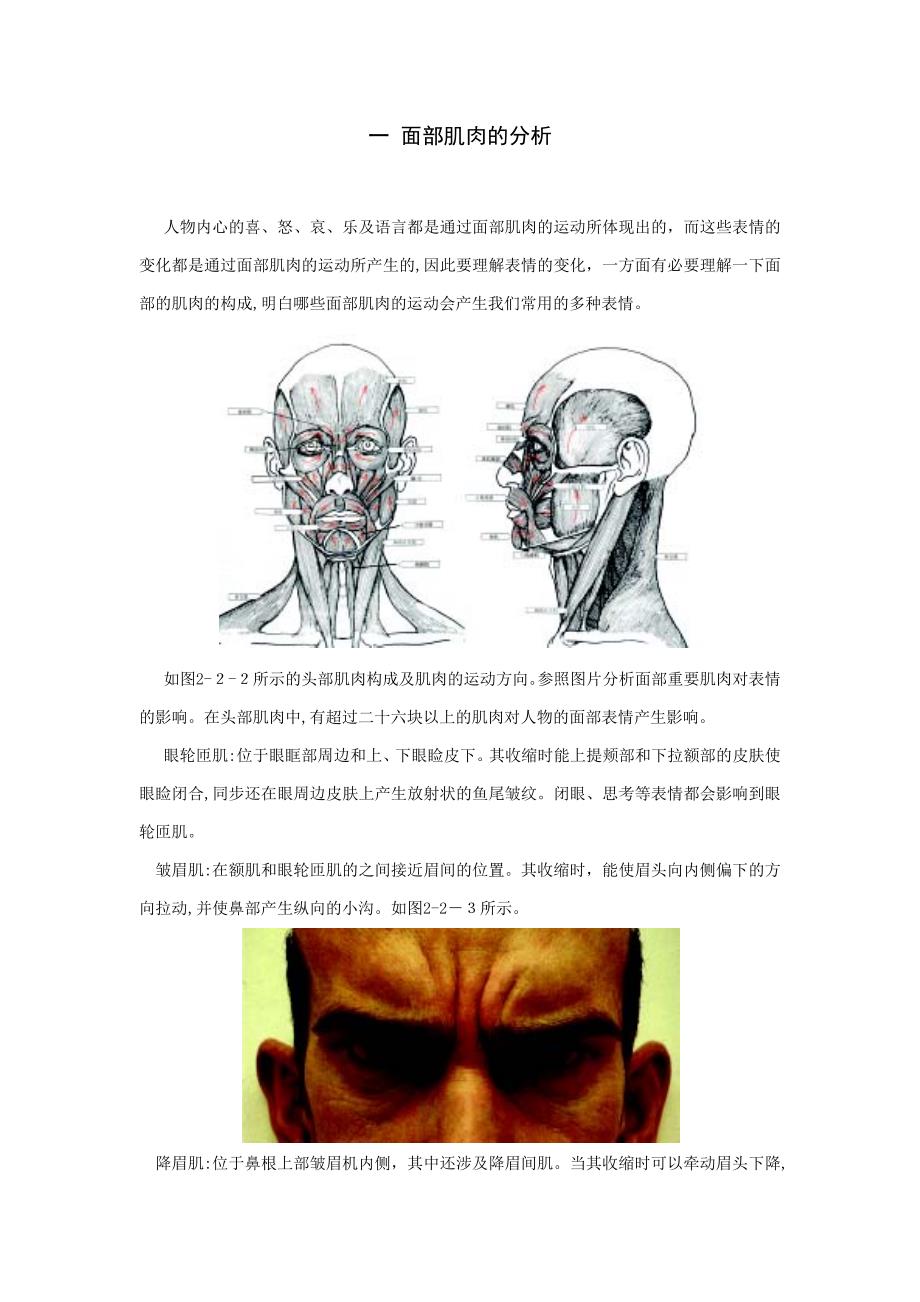 一面部肌肉的分析_第1页