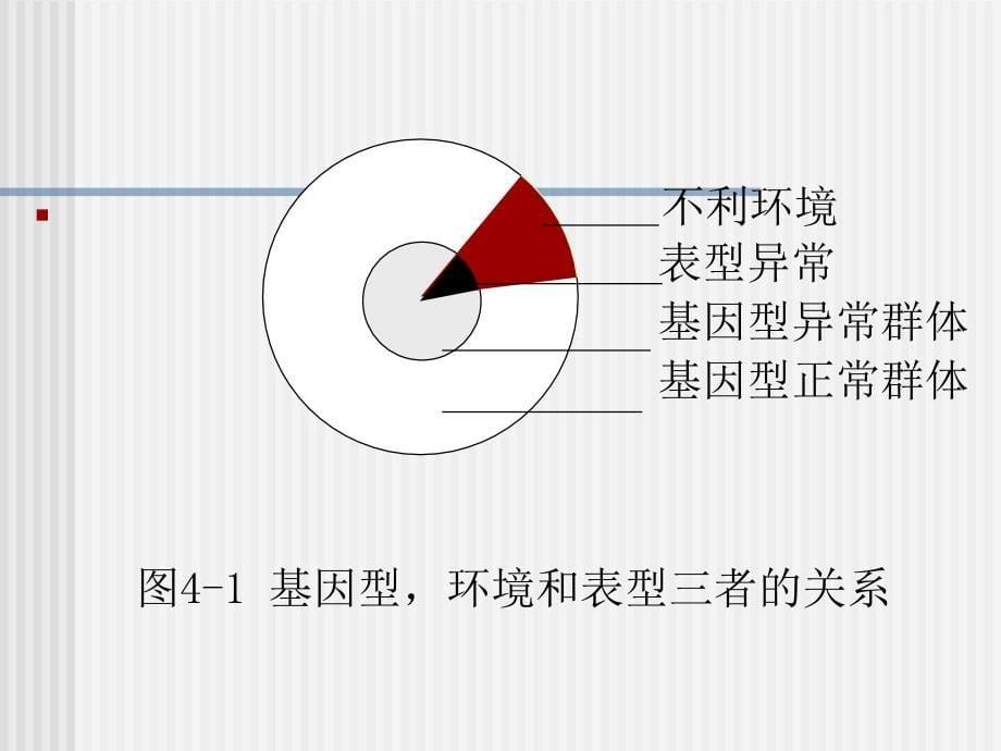 第四孟德尔分析的扩展_第5页