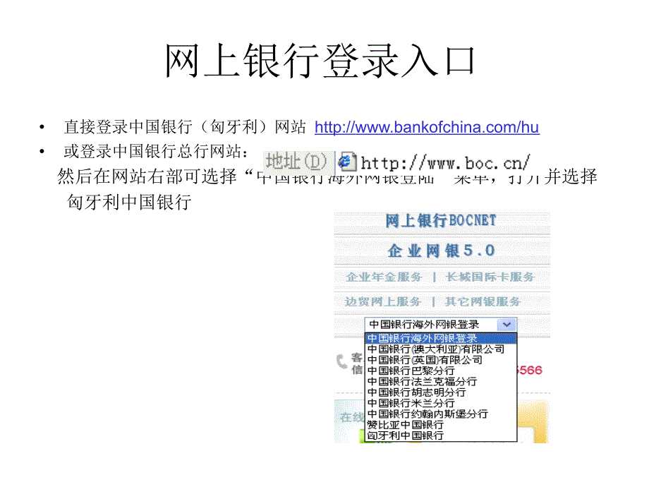 匈牙利中国银行课件_第2页