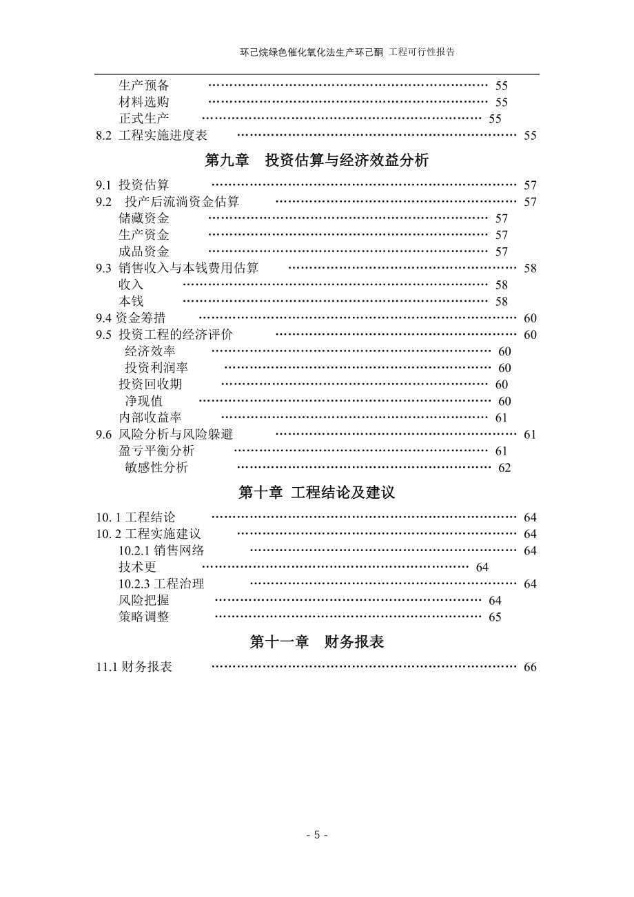 化氧化法生产环己酮项目可行性报告.doc_第5页