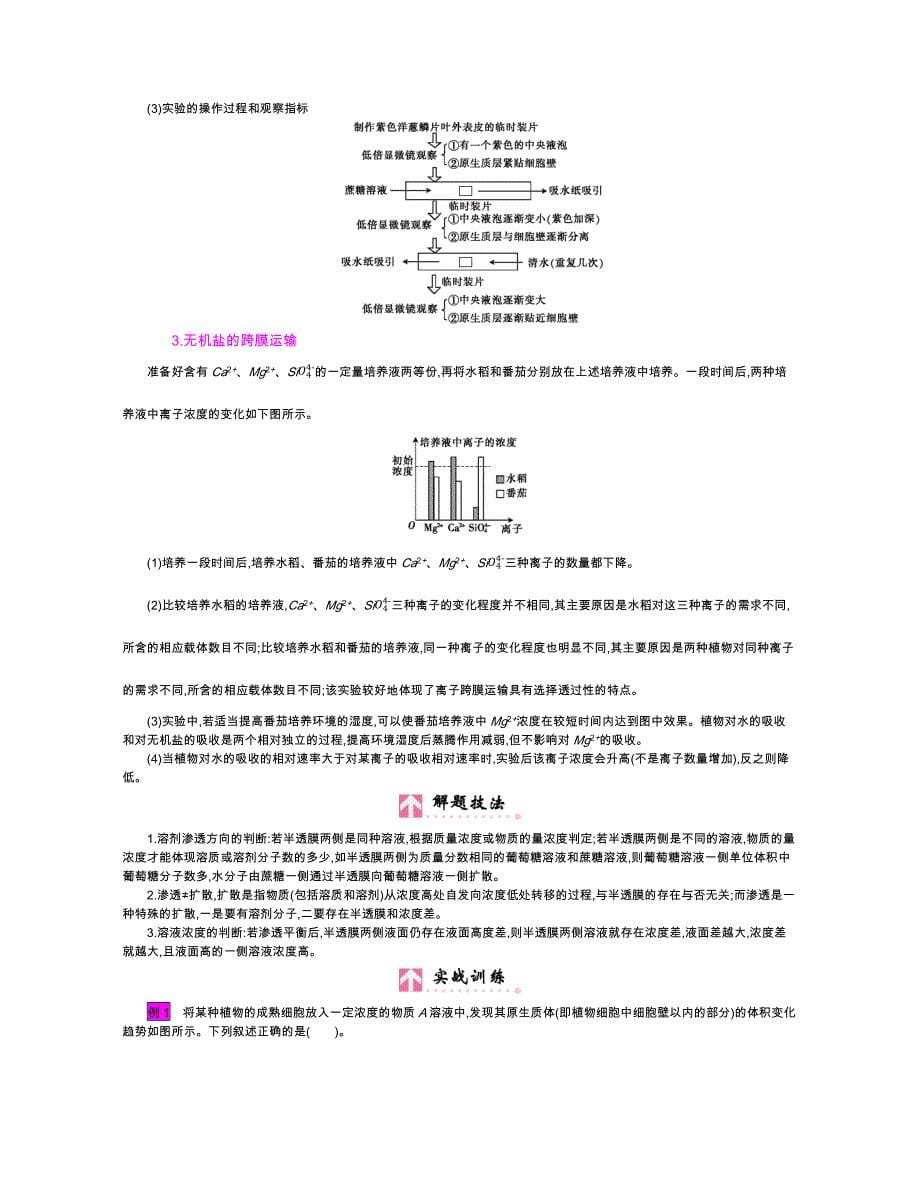 第二单元课时4物质跨膜运输的实例和方式_第5页