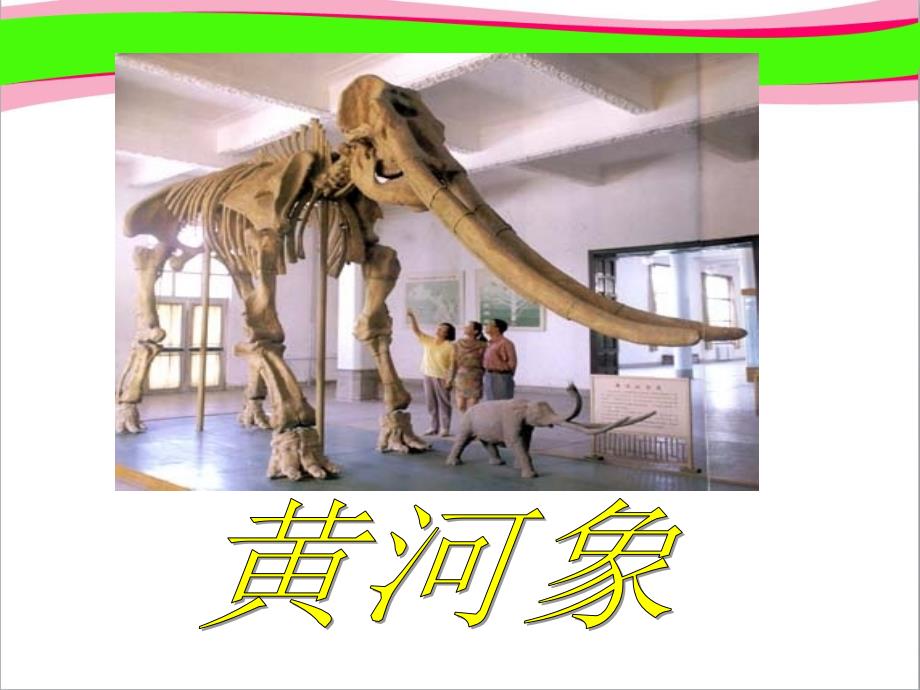 《黄河象》--省一等奖ppt课件_第1页
