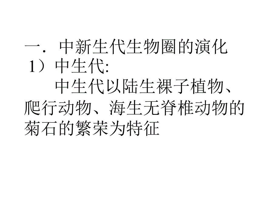 中新生代PPT课件_第4页