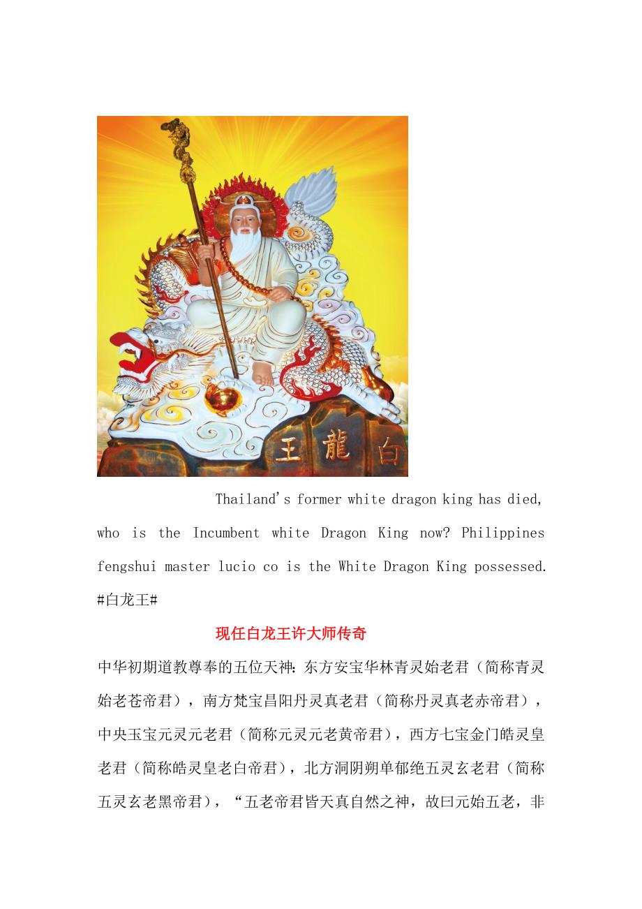 现任白龙王许大师_第1页