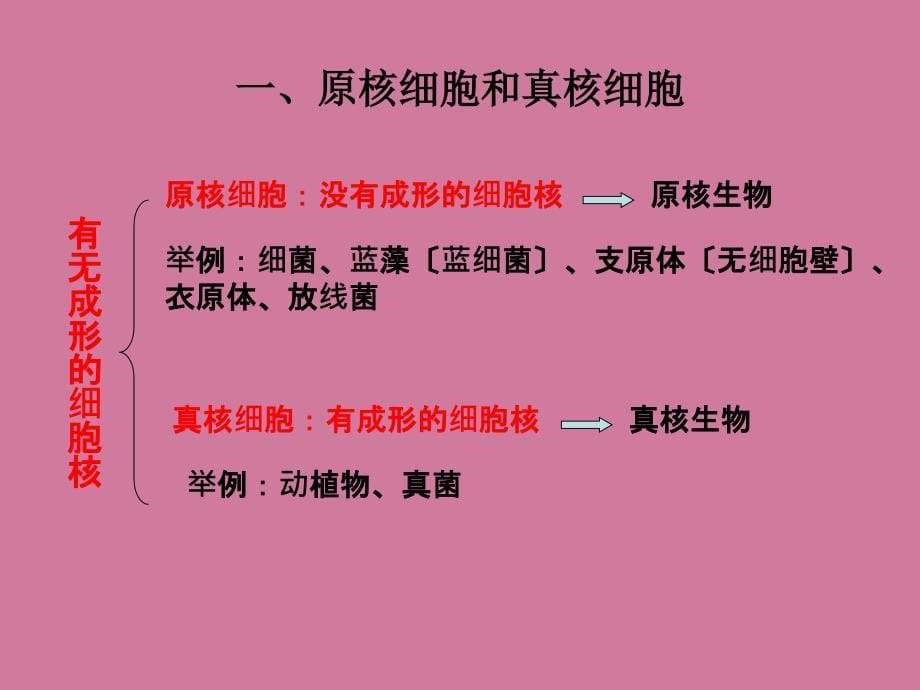 高中生物必修一第一章第二节细胞的多样性和统一性ppt课件_第5页