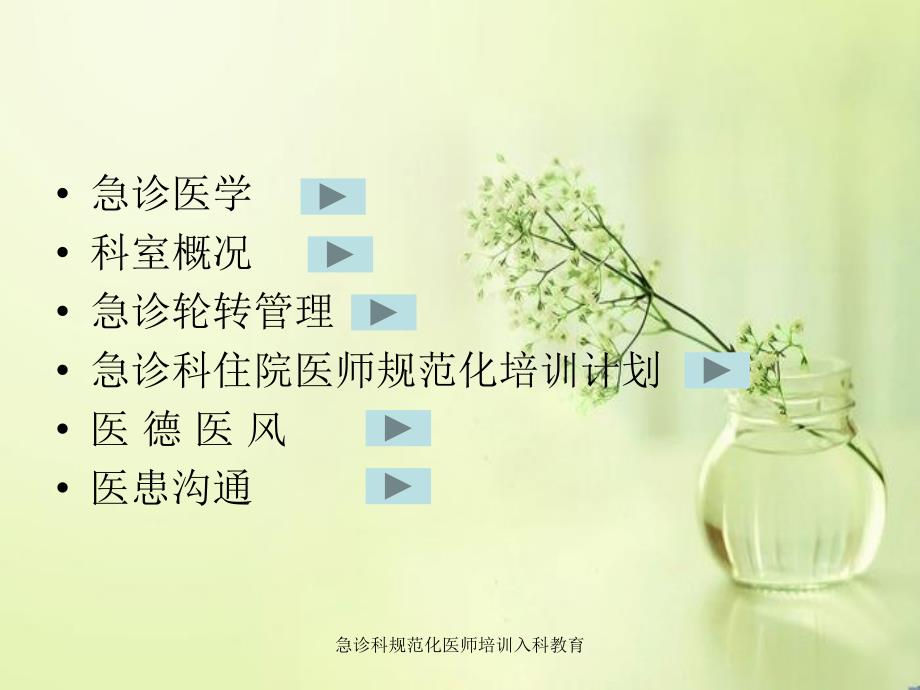 急诊科规范化医师培训入科教育课件_第2页